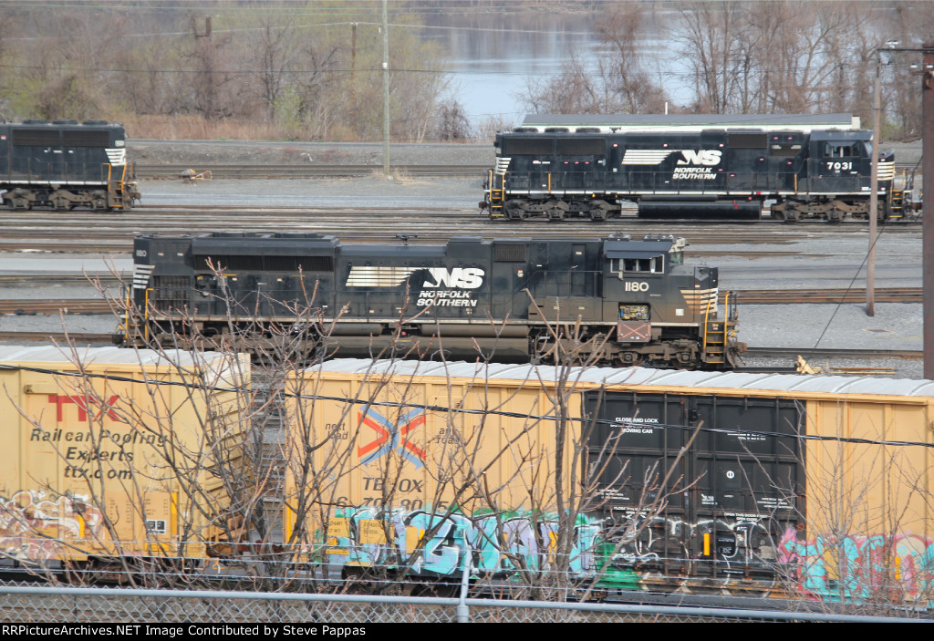 NS 1180 and 7031